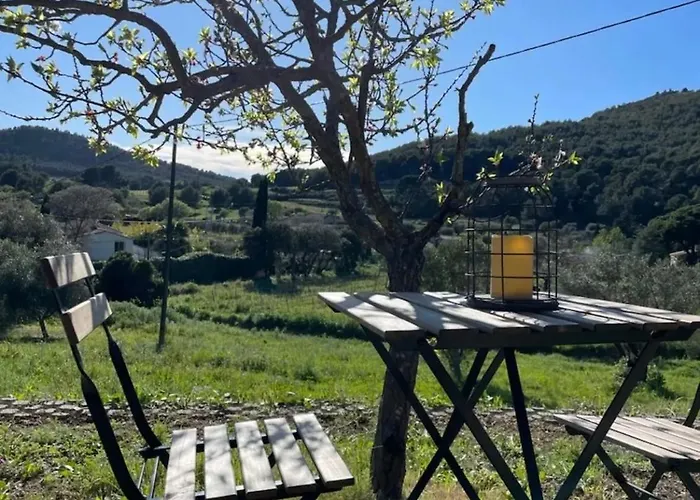 Cocon Entre Et Vigne * Saint-Cyr-sur-Mer
