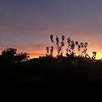 Cocon Entre Et Vigne