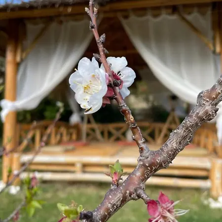 Cocon Entre Et Vigne סן-סיר-סור-מר