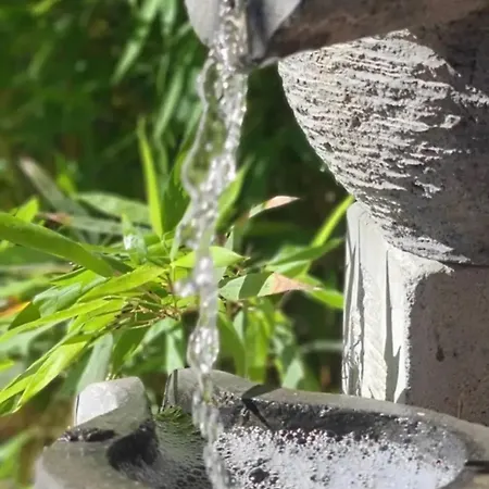 Cocon Entre Et Vigne בית אירוח *